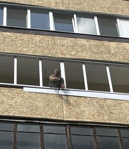 Балконные рамы ПВХ