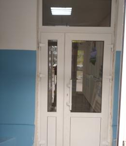 Входные пластиковые двери для дома