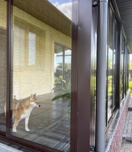 Окна для веранды и террасы