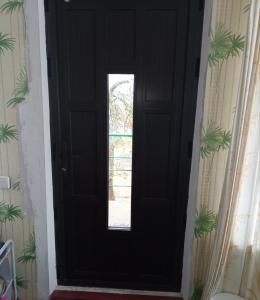 Входные пластиковые двери для дома