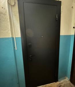 Входные металлические двери недорого